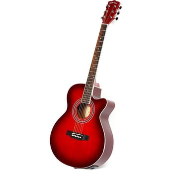 EAW-01/RDS(S.C) エレクトリックアコースティックギター 1本 Sepia 