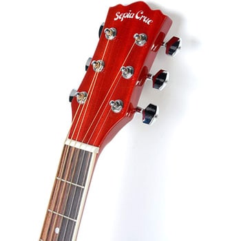 EAW-01/RDS(S.C) エレクトリックアコースティックギター 1本 Sepia