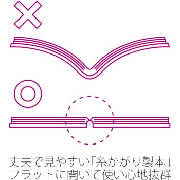 Ca.Crea(カクリエ)  A4×1/3 NO-604GC PLUS(プラス)[文具]