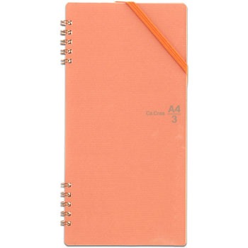 77914 Ca.Crea(JNG)  cCO A4~1/3 RT-650GC PLUS(vX)[] 5mmr 24777698