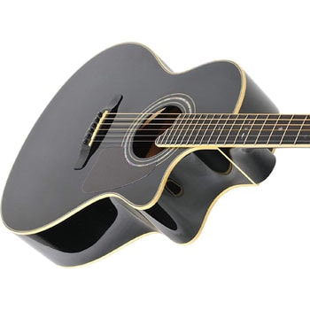 YE-5M/BK(S.C) エレクトリックアコースティックギター 1本 S.Yairi 