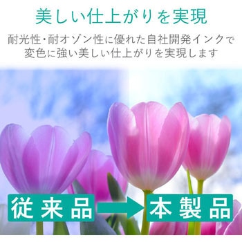 BCI-380+381用 詰め替えインク CANON ブラック(顔料)、シアン、マゼンタ、イエロー、ブラック(染料) 5個パック 専用工具付属 エレコム