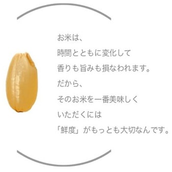 家庭用精米機 匠味米 道場六三郎監修 山本電気