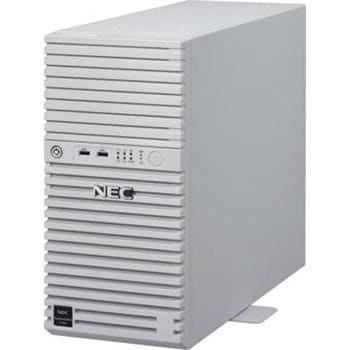 PCサーバー Express5800/T110i(4C/E3-1220v6/4G/2HD) - NEC