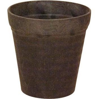 - �N���C�|�b�g �i�`���[�� aika(�A�C�J) 24807590