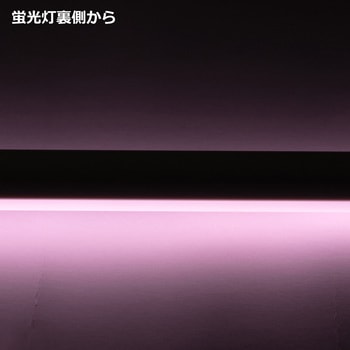 精肉用直管互換LEDランプ 光商事