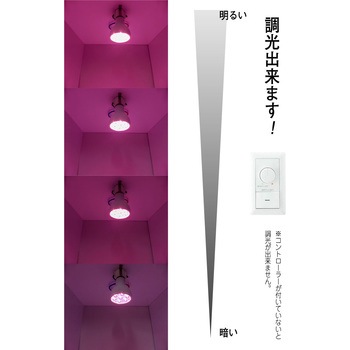 E11スポットライト 桃色 - 光商事