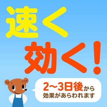 アースガーデン おうちの草コロリ アース製薬