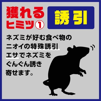 アースガーデン ネズミ専用立入禁止 エサ付き粘着シート アース製薬