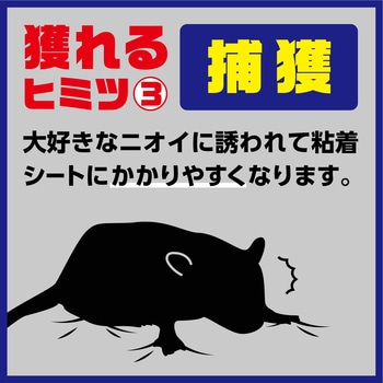 アースガーデン ネズミ専用立入禁止 エサ付き粘着シート アース製薬