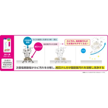 塩素系洗たく槽クリーナー リィードジャパン