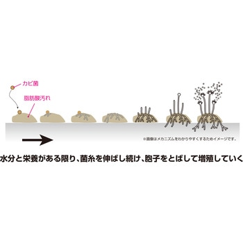塩素系洗たく槽クリーナー リィードジャパン