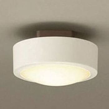 small ceiling mount light