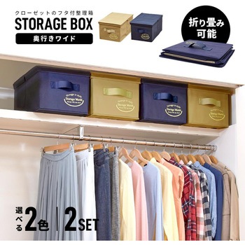 クローゼットのフタ付整理箱2個組 アイメディア