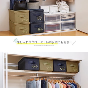 1009408 クローゼットのフタ付整理箱2個組 アイメディア 1段