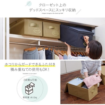 クローゼットのフタ付整理箱2個組 アイメディア