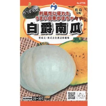 37705 【タネ】 松島交配 白爵南瓜 1枚(4mL) ウタネ 【通販