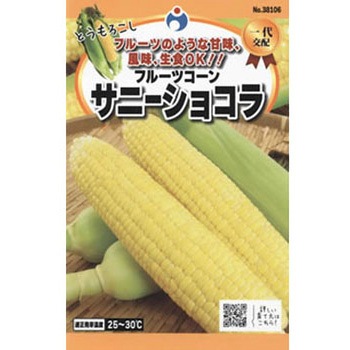 38106 �y�^�l�z ����z �T�j�[�V���R�� �E�^�l 24909099