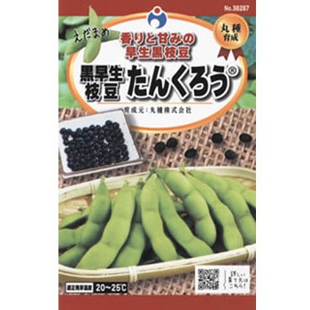 【タネ】 丸種育成 黒早生枝豆たんくろう ウタネ