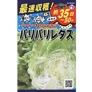 62104 【タネ】 早くとれるパリパリレタス 1枚(1mL) ウタネ 【通販