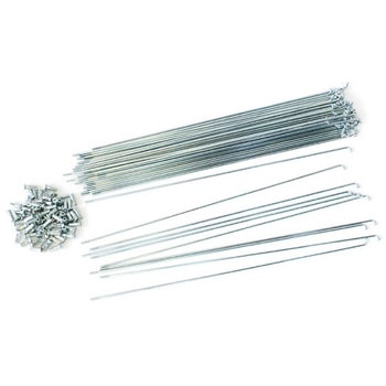 SP393 X|[N36{UCP ATqTCN 24929094