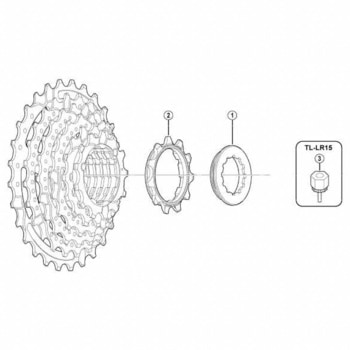 11Tギア(ツバ付ギア)acグループ用 SHIMANO(シマノ)