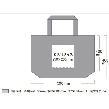 【名入れ】特大不織布バッグ 三和