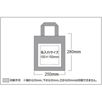 【名入れ】不織布ミニ手提バッグ 三和