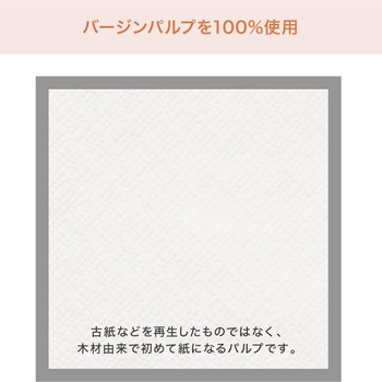 【名入れ】ナプキン 6折ストレート《イラストレーターデーター入稿》 レスタス