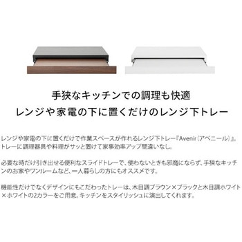 スライド式レンジ下トレー ミヤタケ(宮武製作所)