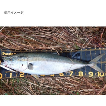 【500円引きクーポン】 PROTECT MAJOR 120 Ⅱ (プロテクトメジャー120Ⅱ) PAC-316 その他
