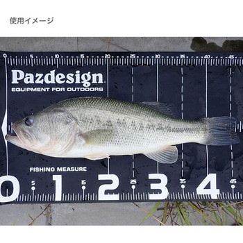PROTECT MAJOR 65 Ⅱ (プロテクトメジャー65Ⅱ) PAC-315 Pazdesign(パズデザイン)