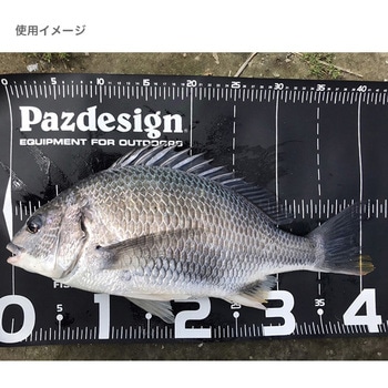 PROTECT MAJOR 65 Ⅱ (プロテクトメジャー65Ⅱ) PAC-315 Pazdesign(パズデザイン)