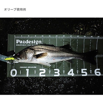 PROTECT MAJOR 65 Ⅱ (プロテクトメジャー65Ⅱ) PAC-315 Pazdesign(パズデザイン)