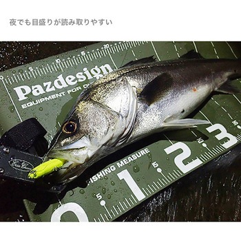 PROTECT MAJOR 65 Ⅱ (プロテクトメジャー65Ⅱ) PAC-315 Pazdesign(パズデザイン)