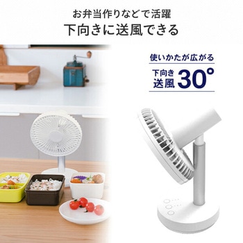 3WAY電源デスクファン TOPLAND