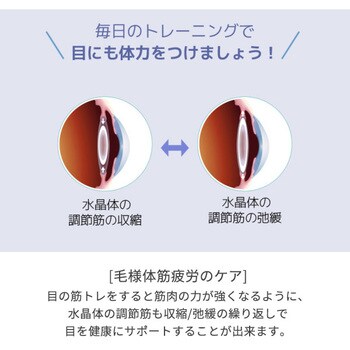 目の筋力トレーニング機 Otus(オータス)