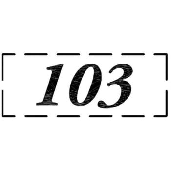 ナンバーシール F30BK ACE(エース)