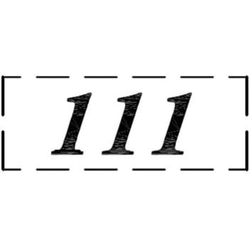 ナンバーシール F30BK ACE(エース)