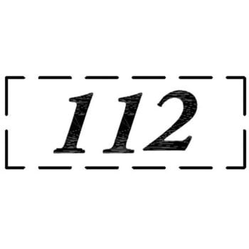 ナンバーシール F30BK ACE(エース)