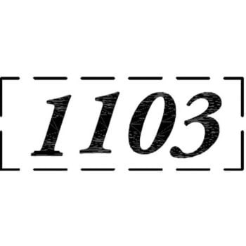 ナンバーシール F30BK ACE(エース)