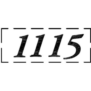 ナンバーシール F30BK ACE(エース)