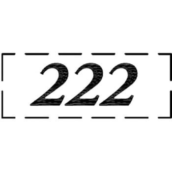 ナンバーシール F30BK ACE(エース)