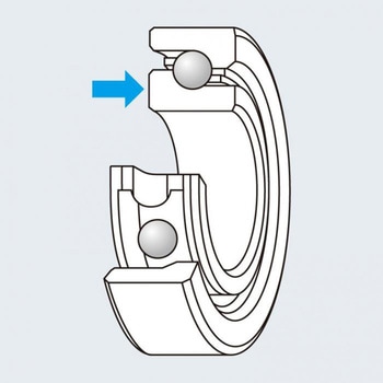 OCEANUS WIDE (オケアノス ワイド) EverGreen INTERNATIONAL 自重525g