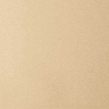 UJデスク専用デスクトップサイドパネル(組立サービス付き) プラス(家具)