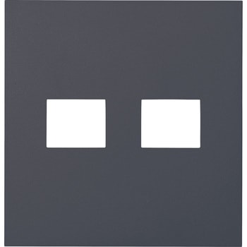 SO-STYLEプレート2コ用(1コ+1コ用) Panasonic(パナソニック)