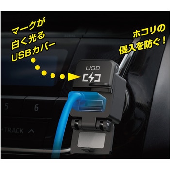 純正風 DC-4.8A USB2ポート 自動判定 カシムラ