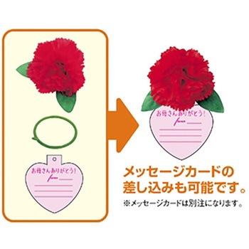 カーネーションボトルリング アルファ(販促)