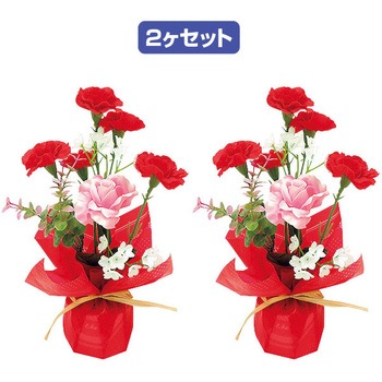 TE1-1364 �}�U�[�Y�f�[�y�A���b�s���O �A���t�@[�̑�] 25236534