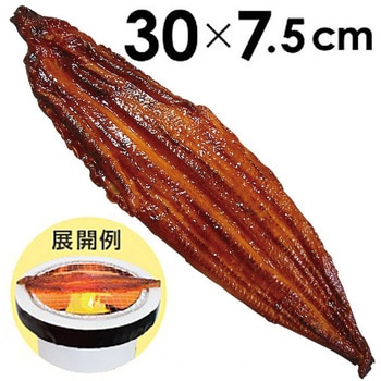 食品サンプル うなぎ蒲焼き アルファ(販促)